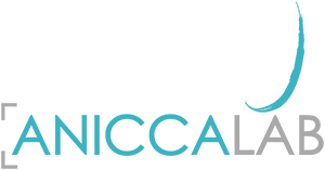 CERTIFICACION COMO PROFESSIONAL AGILE COACH